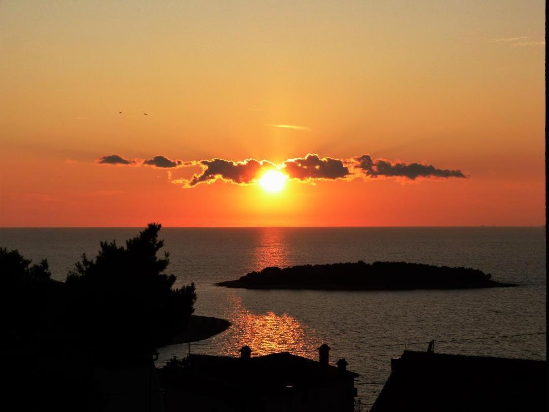 Apartment Kovacica Primošten Dış mekan fotoğraf